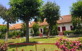 Case Vacanze a Rossano